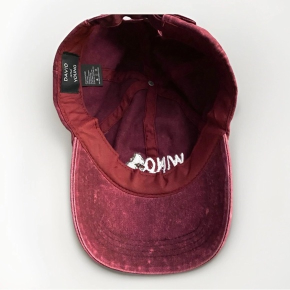 David And Young Burgundy Adjustable ‘Wino Saur’ Embroidered Baseball Cap - Picture 4 of 5